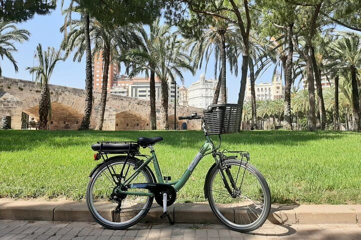 Valencia Full-Day E-Bike Rental: Ride to Albufera photo 6