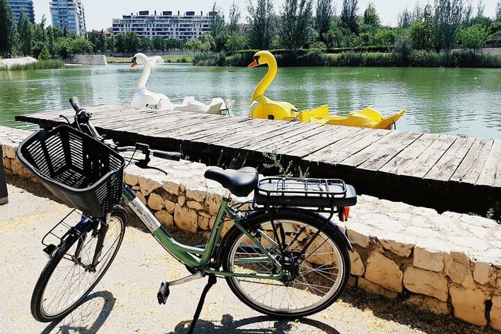 Valencia Full-Day E-Bike Rental: Ride to Albufera