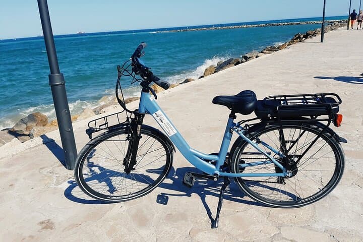 Valencia Full-Day E-Bike Rental: Ride to Albufera photo 2