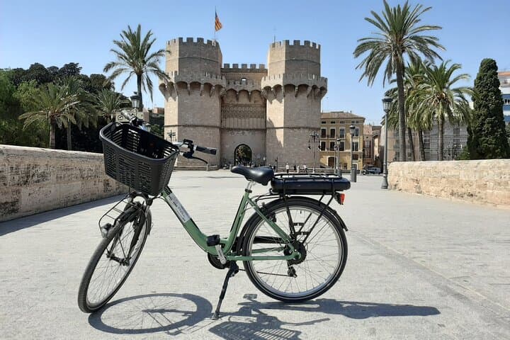 Valencia Full-Day E-Bike Rental: Ride to Albufera photo 4
