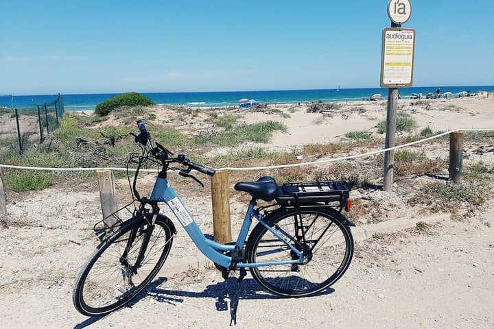Valencia Full-Day E-Bike Rental: Ride to Albufera photo 5