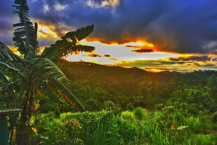 Kalaw Day Trek: Village Trails, Tea Plantations & Hilltop Views photo 2