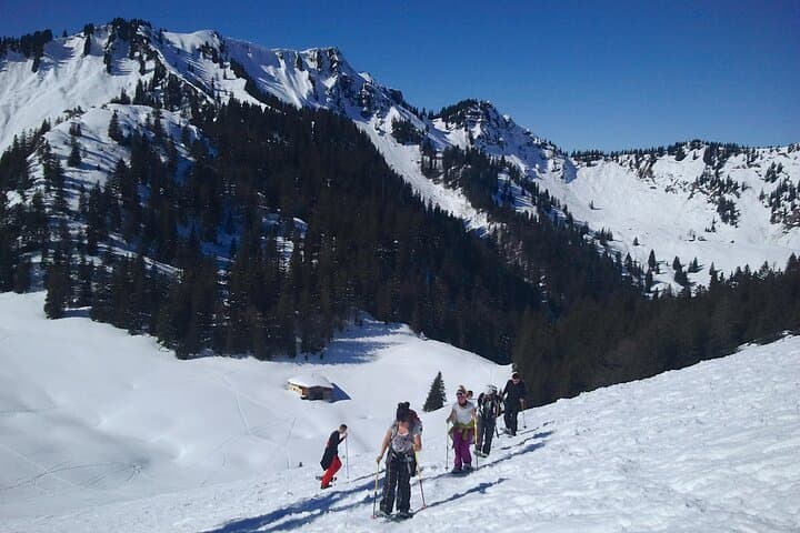 Winter Snowshoe Tour on Schliersee — Guided Hike in the Bavarian Alps photo 5