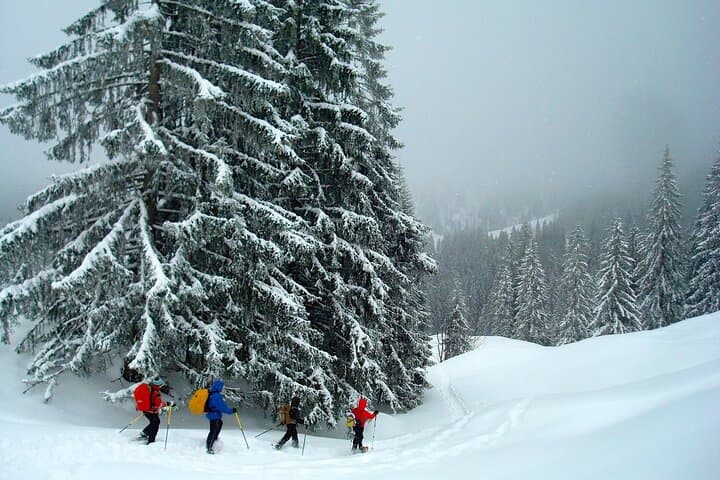 Winter Snowshoe Tour on Schliersee — Guided Hike in the Bavarian Alps photo 3