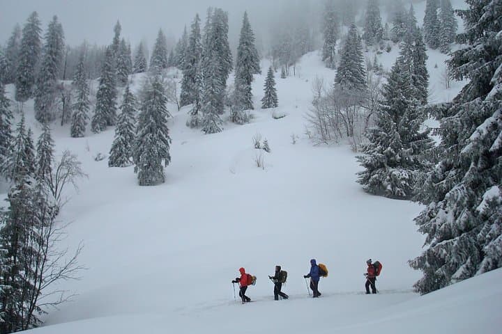 Winter Snowshoe Tour on Schliersee — Guided Hike in the Bavarian Alps photo 6