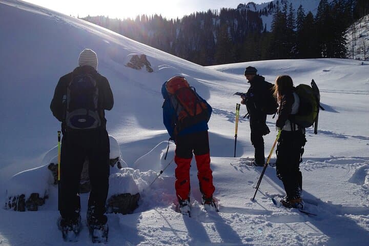 Winter Snowshoe Tour on Schliersee — Guided Hike in the Bavarian Alps photo 2