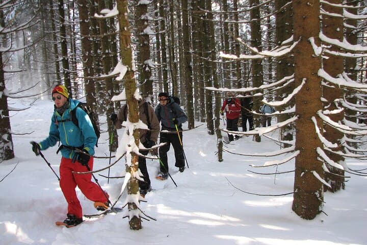 Winter Snowshoe Tour on Schliersee — Guided Hike in the Bavarian Alps photo 4
