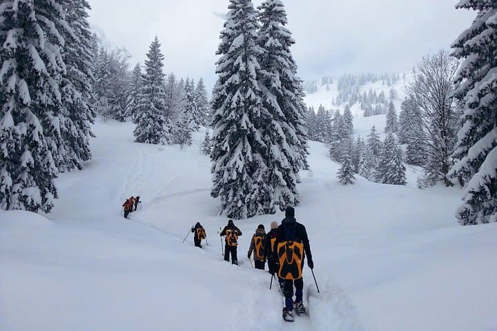 Schliersee Snowshoe Tour and Zipflbob Descent — Alpine Hut Lunch and Sled Ride
