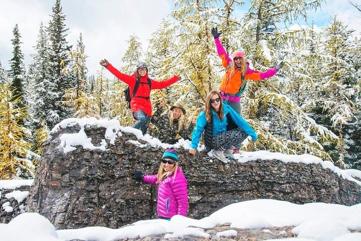 Winter Wildlife Discovery Tour — Jasper & Athabasca Valley Wildlife Viewing photo 4