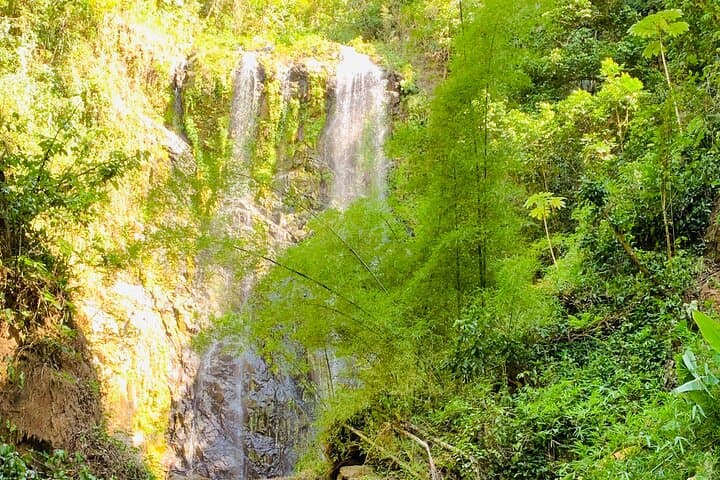 Bayamón Hidden Waterfall Hike: Private River Trail & Natural Pools photo 4