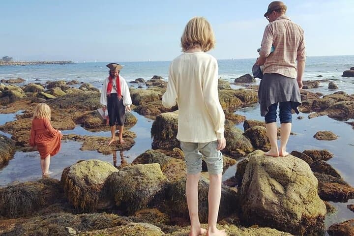 Exploring Dana Point’s Pirate Sea Cave Tide Pools: A Coastal Adventure photo 3