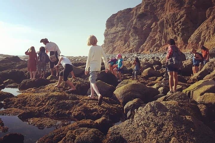 Exploring Dana Point’s Pirate Sea Cave Tide Pools: A Coastal Adventure photo 6