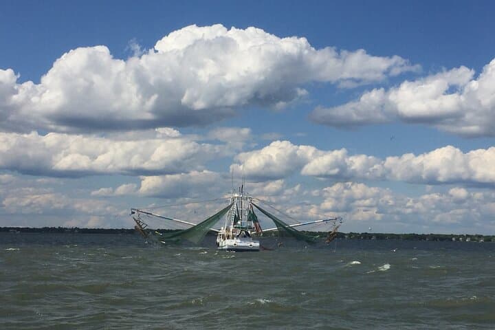 Charleston Harbor Sunset Cruise: Dolphins, Lighthouses & Bridge Views at Golden Hour photo 5