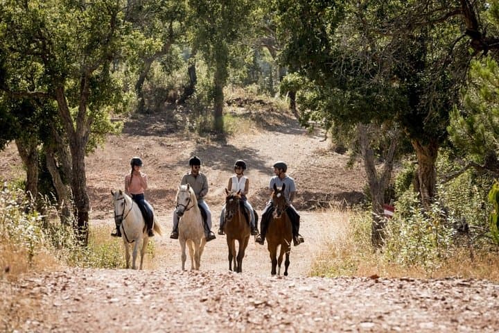Horseback Riding Near Montevideo: 1.5-Hour Guided Ride Through Prairies & Native Forest