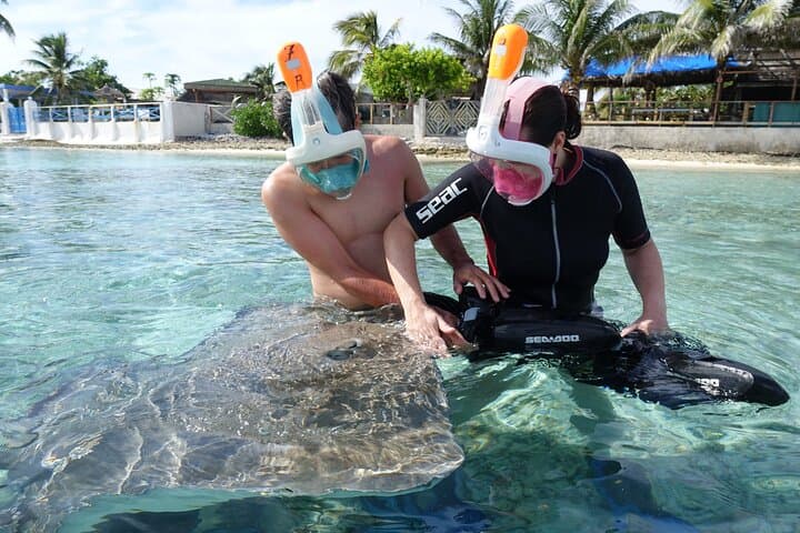 Sea Scooter Snorkel in Moorea: Reef Adventure at Temae & Stingray City photo 6