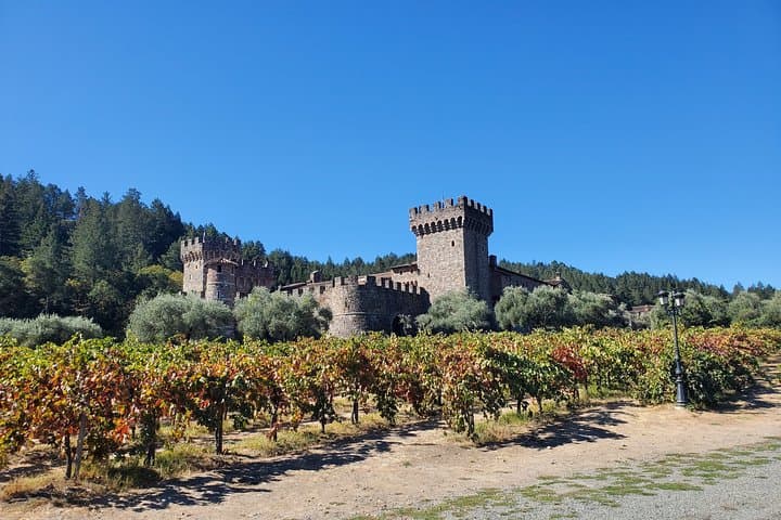 Napa Valley 6-Hour Private Dessert Wine Tour: Tasting Semi-Sweet and Vintage Releases photo 6