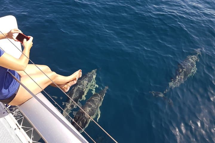 Dolphin-Watching Catamaran from Estepona — 1-Hour Coastal Cruise photo 4