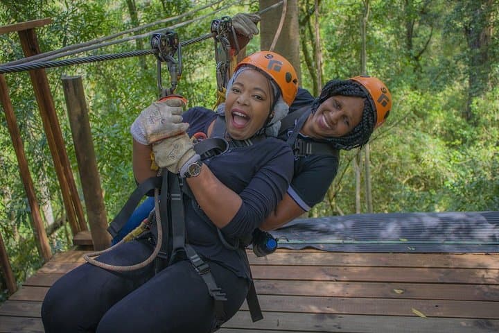 Fly the Tsitsikamma Canopy: Zipline Through South Africa’s Oldest Rainforest photo 3