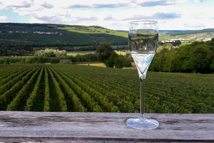 Day Trip to Champagne from Paris: Reims Cellars, Vineyard Visits & Lunch