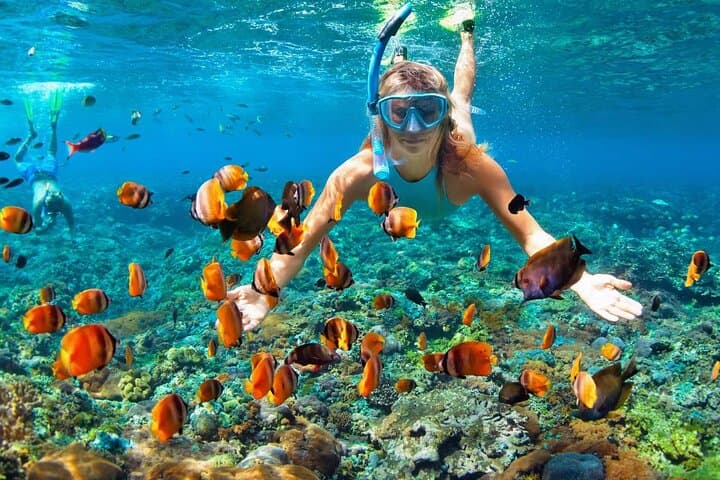 West Bay Island Snorkel Tour — 90-Minute Snorkeling & Beach Access in Roatán photo 2