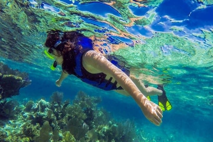 West Bay Island Snorkel Tour — 90-Minute Snorkeling & Beach Access in Roatán photo 4
