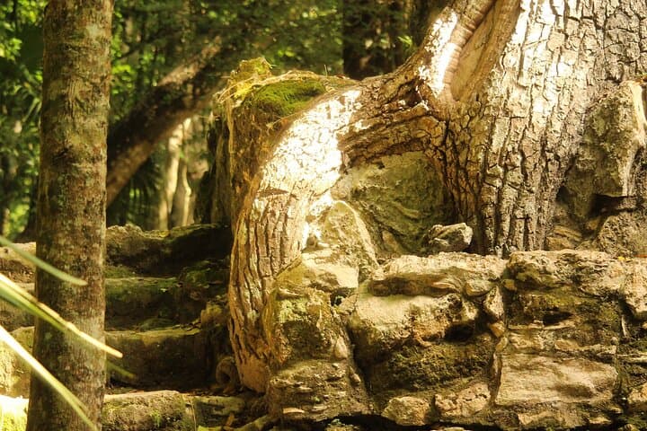 Float the Ancient Mayan Canals of Sian Ka’an: A Quiet Waterway Expedition from Tulum photo 5