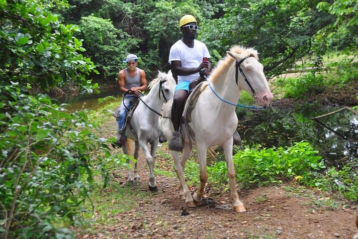 Macao Beach Horseback Ride: Punta Cana Coastal Trail & Village Tour photo 2