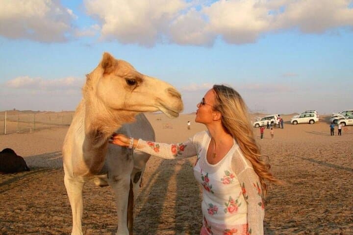 Dubai Desert Safari: Dune Bashing, Camel Rides, Sandboarding & BBQ Under the Stars photo 2