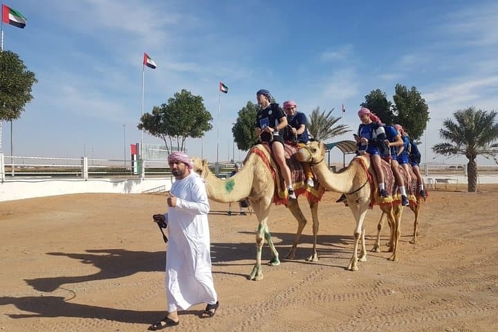 Dubai Desert Safari: Dune Bashing, Camel Rides, Sandboarding & BBQ Under the Stars photo 5