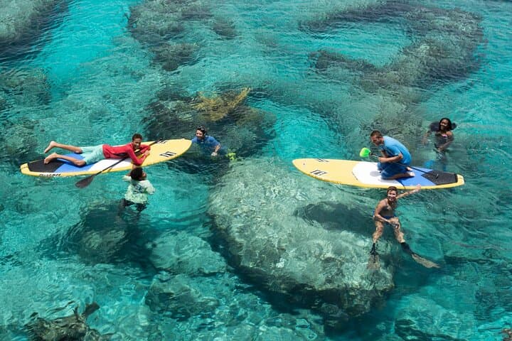 Providenciales Mangrove SUP Eco Tour — Paddle with Turtles and Rays photo 2