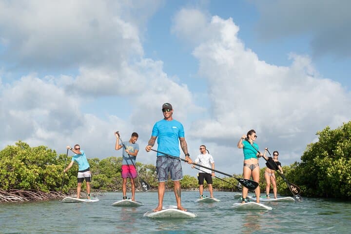Providenciales Mangrove SUP Eco Tour — Paddle with Turtles and Rays photo 3