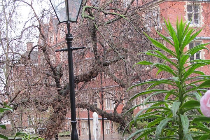 Law in London: Private Royal Courts & Old Bailey Walking Tour photo 5