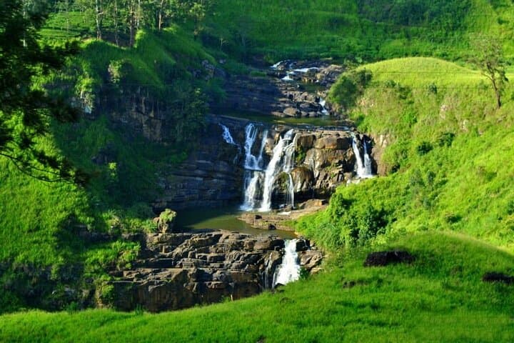 3-Day Kandy to Nuwara Eliya: Temple of the Tooth, Tea Estates & Botanical Gardens photo 4