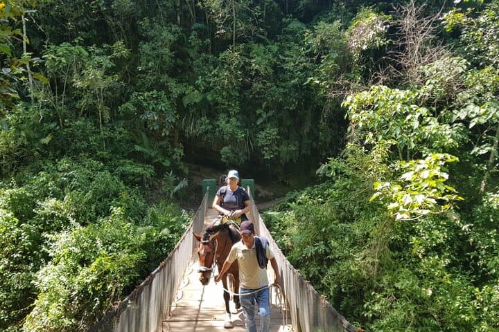 Gocta Waterfall Full-Day Private Hike from Chachapoyas photo 2