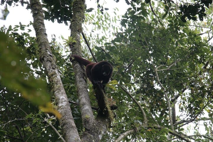 Gocta Waterfall Full-Day Private Hike from Chachapoyas photo 4