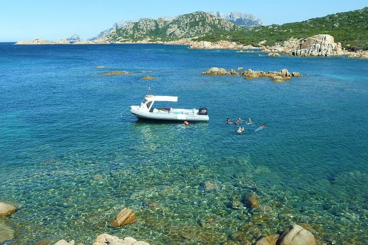 Figarolo Island Dolphin-Watching and Snorkel Cruise from Olbia photo 4