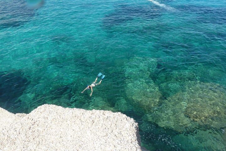 Figarolo Island Dolphin-Watching and Snorkel Cruise from Olbia photo 6