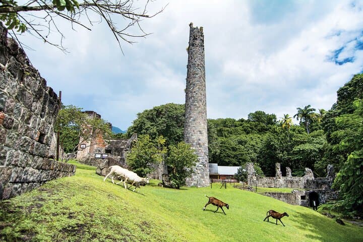 Panoramic Sightseeing Tour of St Kitts: Berkeley Memorial to Timothy Hill photo 6