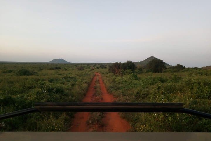 2-Day Saltlick Taita Hills Wildlife Safari from Diani Beach photo 3