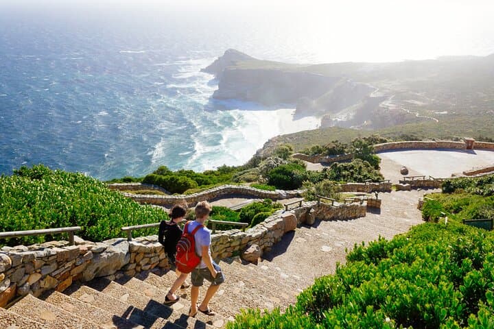 Full-Day Private Cape Peninsula Highlights — Cape Point, Boulders Beach & Constantia Wine Tasting photo 5