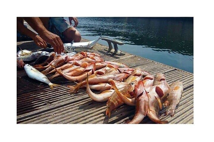 Private Cascais Fishing Tour with Lunch — 4-Hour Atlantic Charter photo 3