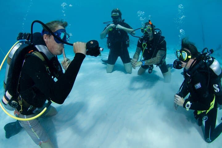 PADI Open Water Course in Curaçao — 2-Day Certification at Jan Thiel