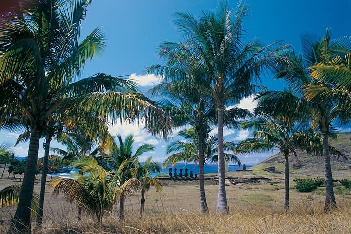 Discover the Mysteries of Rapa Nui: A Journey Through Anakena photo 3
