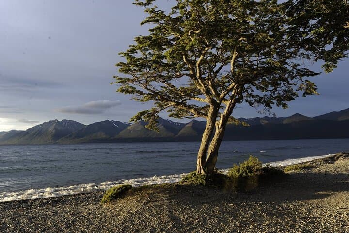 Escondido and Fagnano Lakes Full-Day Excursion from Ushuaia photo 3