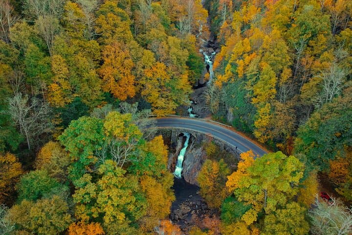 Blue Ridge Parkway Scenic Driving Tour from Asheville — Views, Hikes, and Naturalist Guide