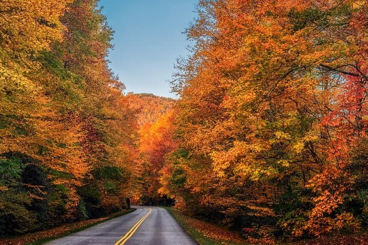 Blue Ridge Parkway Scenic Driving Tour from Asheville — Views, Hikes, and Naturalist Guide photo 2