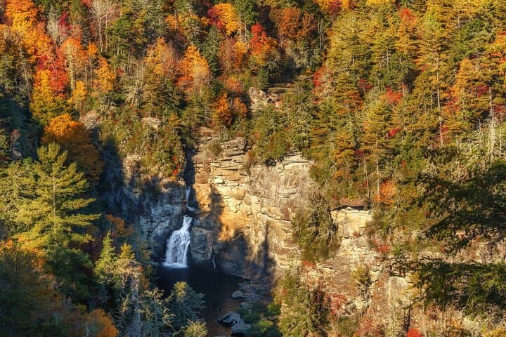 Blue Ridge Parkway Scenic Driving Tour from Asheville — Views, Hikes, and Naturalist Guide photo 3