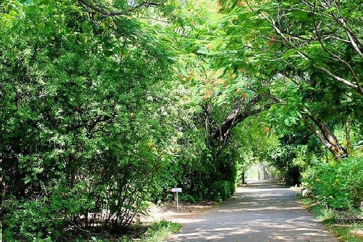 Discover Chennai's Artistic and Spiritual Heritage photo 5