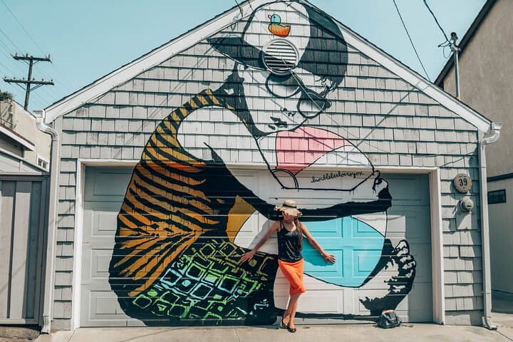Venice Street Art Photoshoot: Abbot Kinney, Canals & Coastal Views photo 1