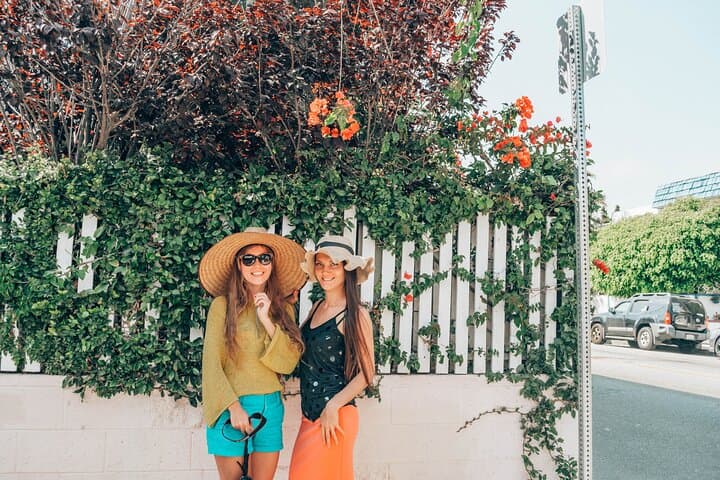 Venice Street Art Photoshoot: Abbot Kinney, Canals & Coastal Views photo 4